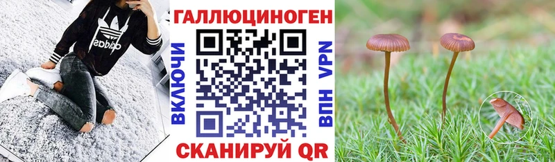 где можно купить наркотик  Разумное  Псилоцибиновые грибы GOLDEN TEACHER 